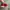 VANS OLDSKOOL ANAHEIM 36 DX RED EMERALD YELLOW photo 3