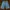 Plugg Jorts Denim  Jeans Short Pants Celana