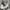 PF FLYERS HI-TOP CANVAS  photo 8