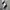PF FLYERS HI-TOP CANVAS  photo 7