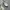 PF FLYERS HI-TOP CANVAS  photo 5