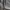 Buzz Rickson's Original Specs BR40025 Military Trousers photo 7