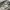 Buzz Rickson's Original Specs BR40025 Military Trousers photo 5