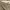 Buzz Rickson's Original Specs BR40025 Military Trousers photo 4