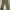 Buzz Rickson's Original Specs BR40025 Military Trousers photo 2