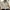 Crop Top Linen Serut photo 2