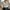 Crop Top Linen Serut photo 1
