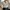 Crop Top Linen Serut