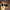Puma glasses photo 1