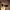 Puma Glasses