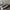 Converse Chuck Taylor Pro Cons Low photo 1