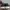 Converse Chuck Taylor Pro Cons Low photo 6