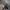 Cap Topi Realtree Aaron's Outdoors photo 5