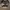 Cap Topi Realtree Aaron's Outdoors photo 3
