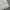 Louis Feraud Casual Flight Jaket & The Marquis Casual Flight photo 8