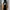 Adidas x ivy park black and brown knit logo dress photo 7