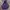Hoodie Ben Davis Spellout 