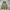 Duvetica Hooded ADHARA Down Jacket
 photo 5