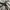 Duvetica Hooded ADHARA Down Jacket
 photo 6