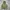Duvetica Hooded ADHARA Down Jacket
 photo 1
