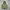 Duvetica Hooded ADHARA Down Jacket
