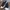 Converse Jack Purcell Low Velcro photo 3