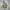 The North Face Puffer Packable Jacket
 photo 6