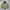 The North Face Puffer Packable Jacket
 photo 1