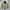 The North Face Puffer Packable Jacket
