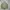 The North Face Puffer Packable Jacket
 photo 7