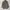 Parka Military US Army Kanvas photo 1
