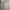 Parka Military Army N. I. I Club vintage M65 photo 6