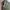 Parka Military Army N. I. I Club vintage M65 photo 4