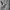 Crewneck Timberland 73  photo 4