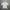 Workshirt Zipper Mobase Precion photo 1
