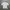 Workshirt Zipper Mobase Precion