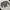 Ecinos - Times Fitted Cardigan (Grey) photo 1