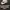 Nike Authorized Personnel Only photo 6