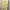 Salvatore Ferragamo Minimalist Casual Midi Dress Wanita Cream Yellow