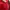 Trackpanst Adidas Firebird Red photo 5