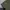 Long outer sleeveless army photo 3
