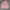 SHIRT RAYON TWILL PINK by CLRIDEn photo 1