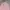 SHIRT RAYON TWILL PINK by CLRIDEn photo 2