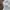 Adidas Sportswear Short Pria white black photo 7