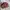 Vivienne Westwood Vintage Y2K Handbag Wanita burgundy photo 3