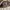 Coach Vintage Y2K Shoulder bag Wanita tan brown photo 8