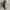 Coach Vintage Y2K Shoulder bag Wanita tan brown photo 5