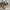Coach Vintage Y2K Shoulder bag Wanita tan brown photo 2
