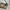 Coach Vintage Y2K Shoulder bag Wanita tan brown photo 4