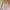 Liz Lisa Doll Halter Neck Dress Set photo 3